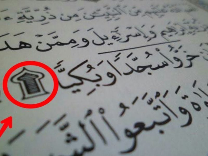 الكريم كم عدد القرآن السجدات في كم عدد